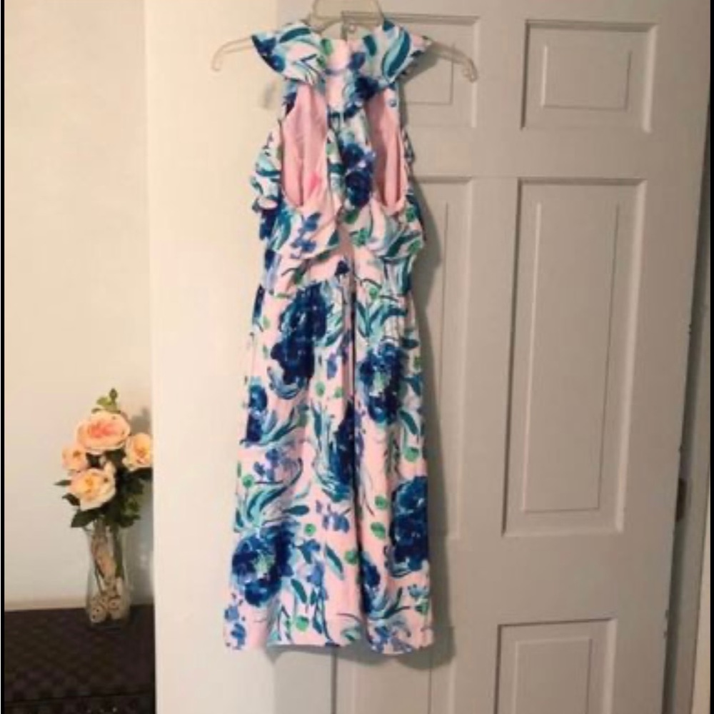 Lilly Pulitzer Rory Midi Dress - Picture 8 of 8
